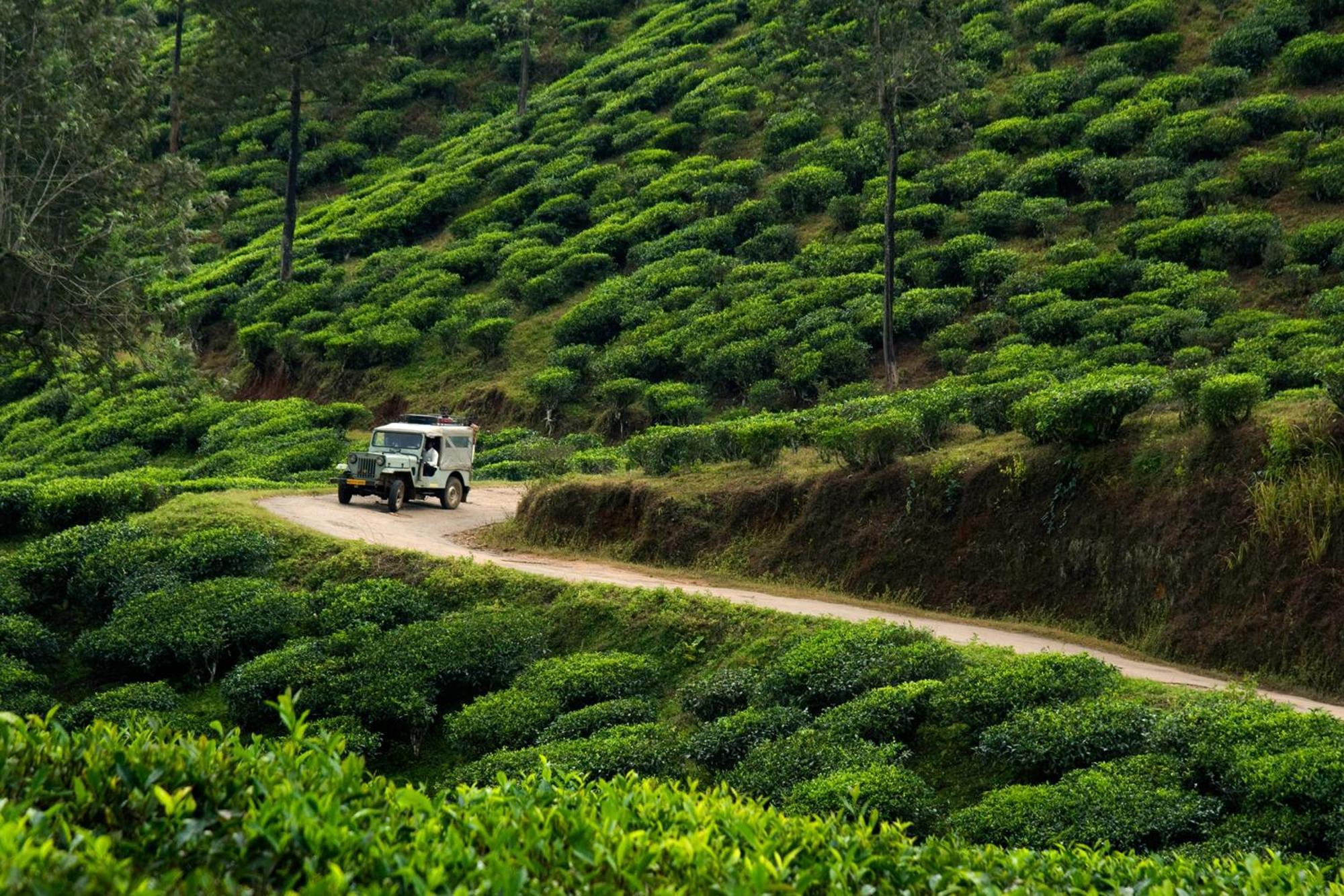 Spicegreen Homestay,Thekkady Exterior foto