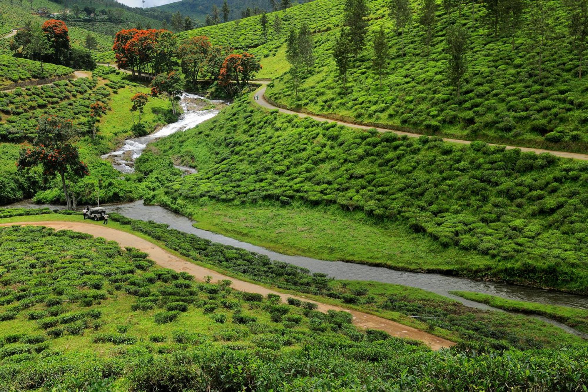 Spicegreen Homestay,Thekkady Exterior foto